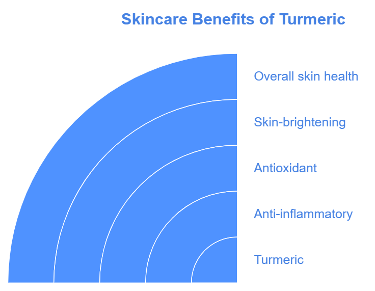 semicircular chart highlighting turmeric's skincare benefits. Starting from the center, the chart lists Turmeric, followed by Anti-inflammatory, Antioxidant, Skin-brightening, and Overall skin health.