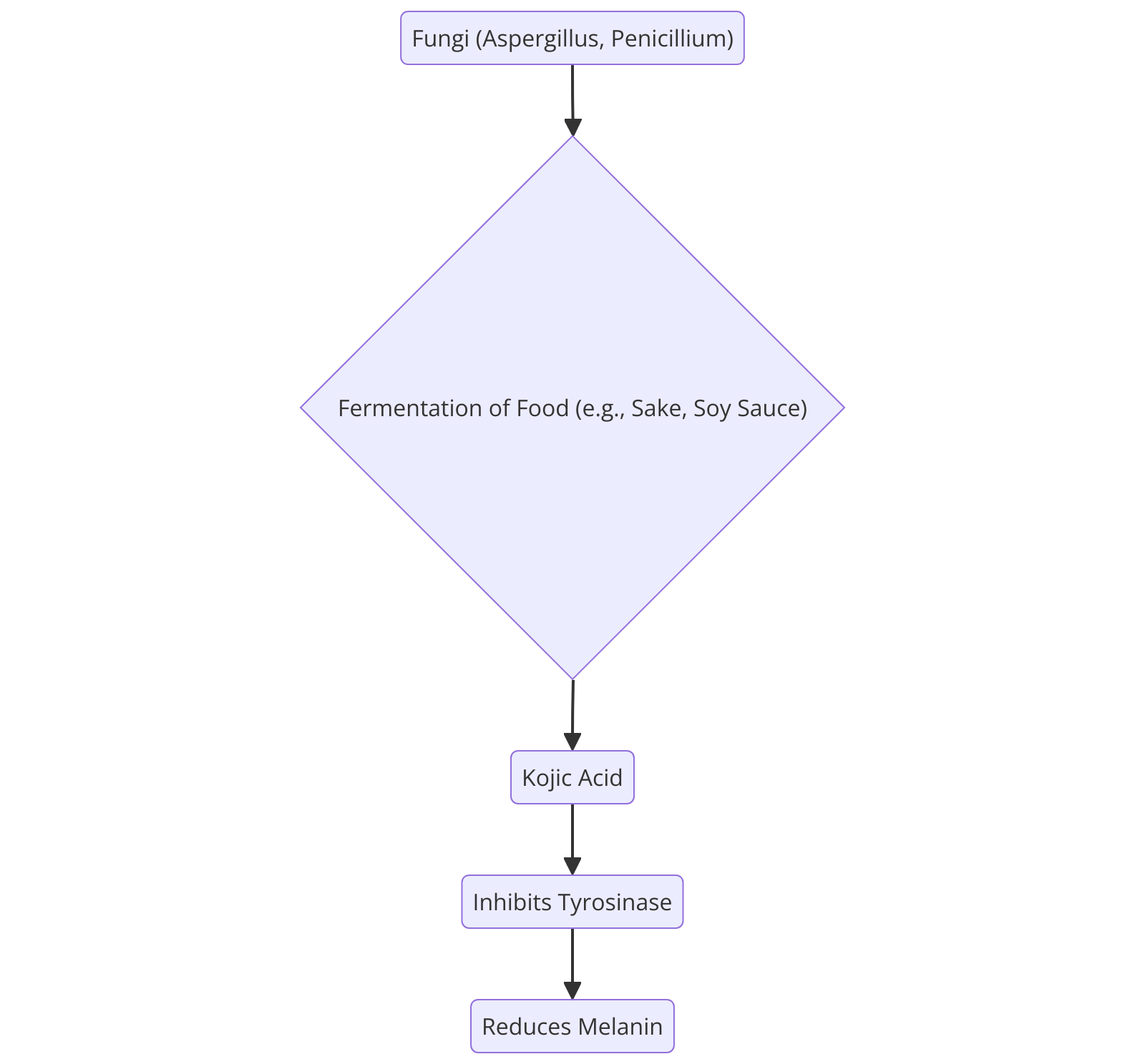 flowchart diagram illustrating the process of Kojic Acid derivation from fungi during fermentation and its role in inhibiting tyrosinase and reducing melanin